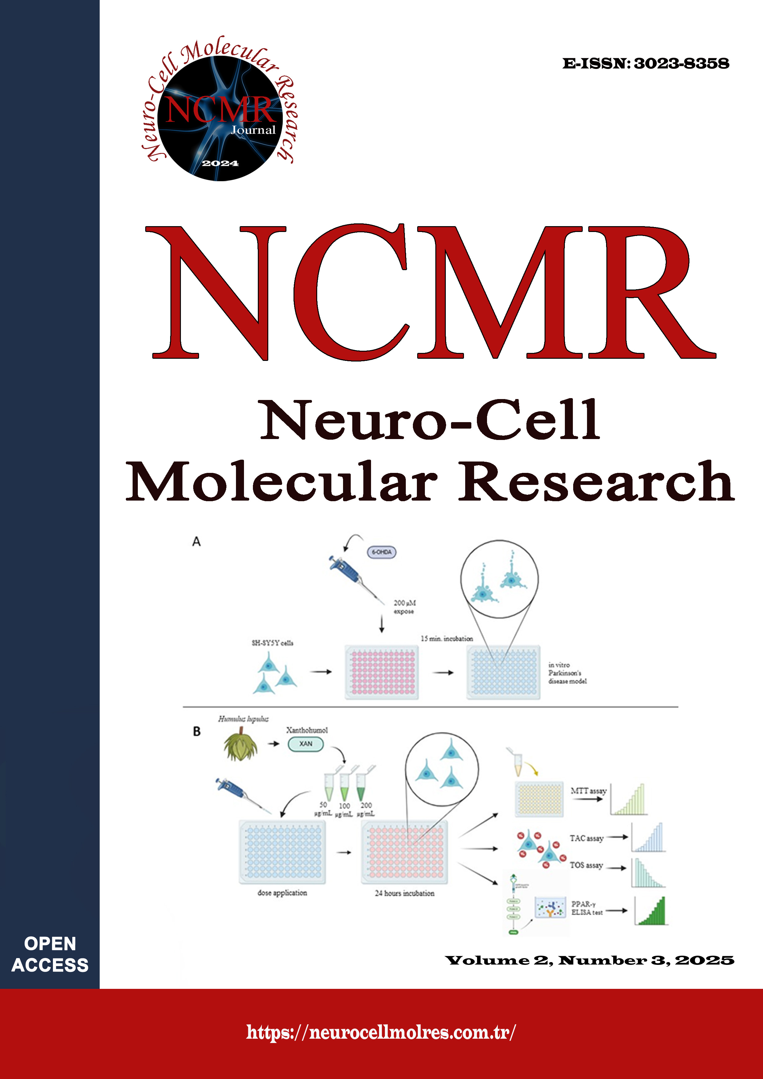 					View Vol. 2 No. 3 (2025)
				